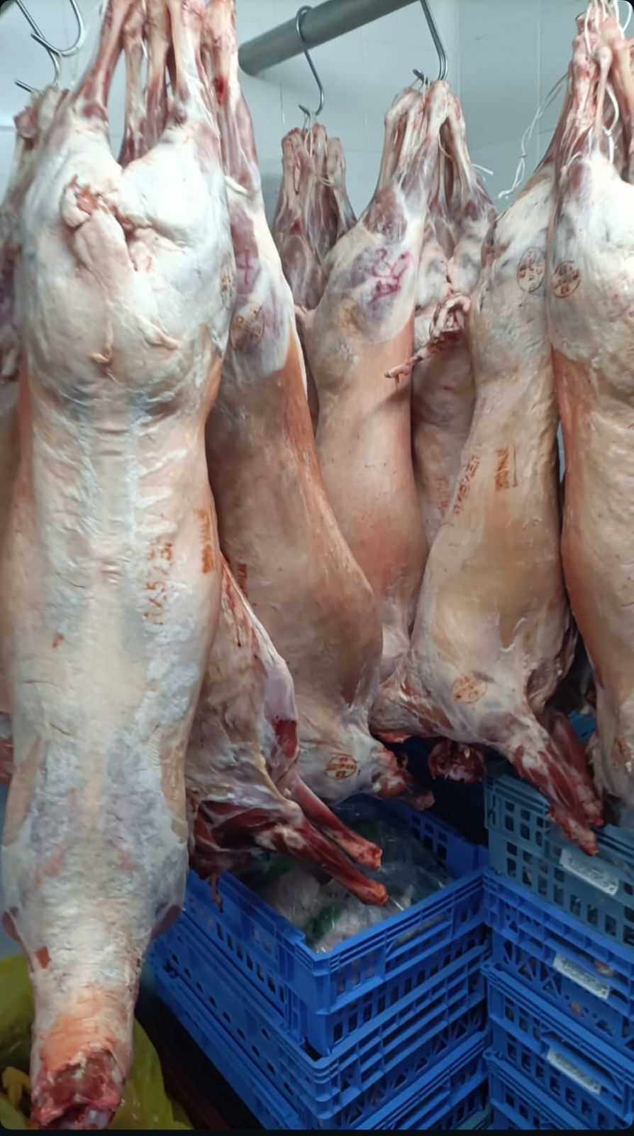 Carnicería Halal