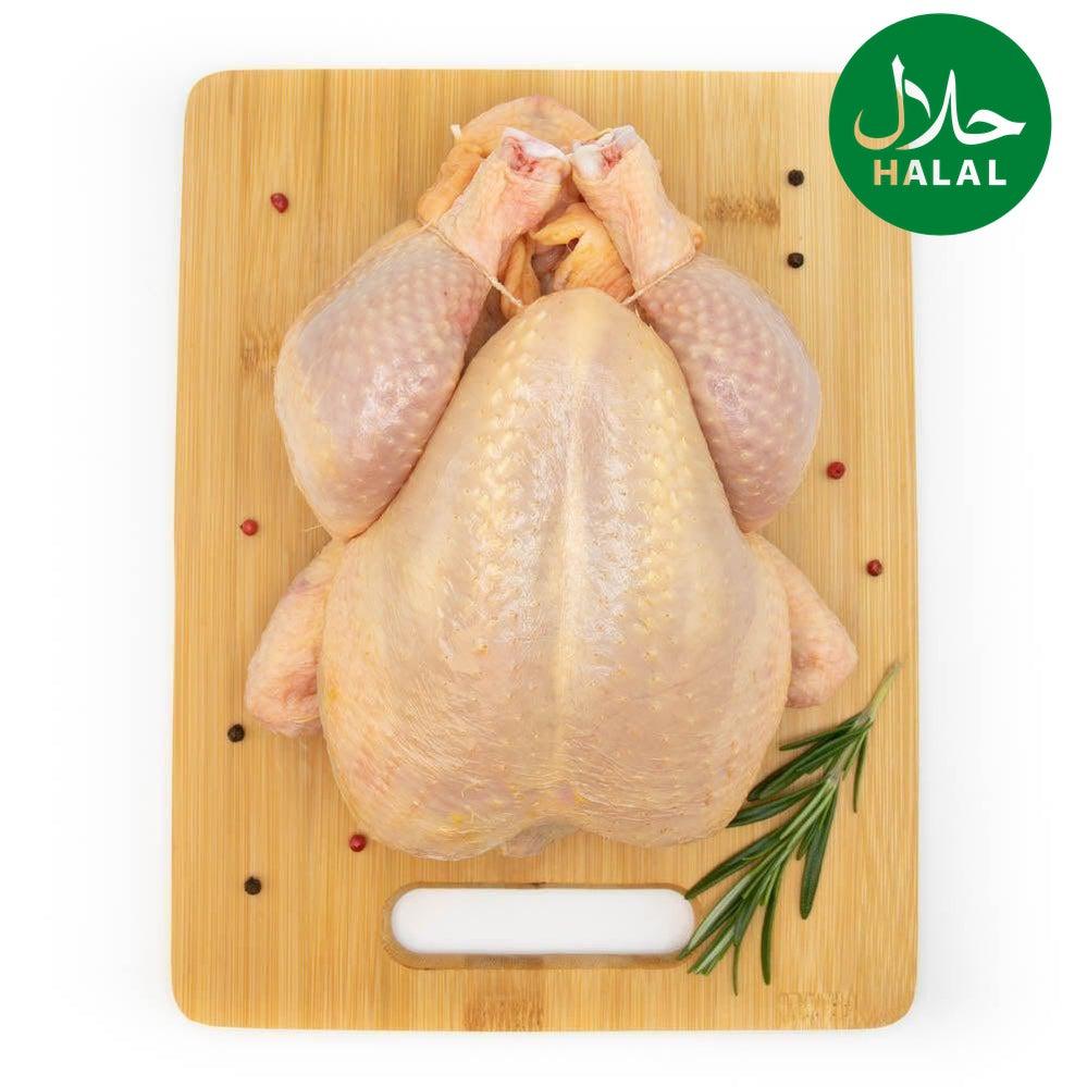 Pollo Halal